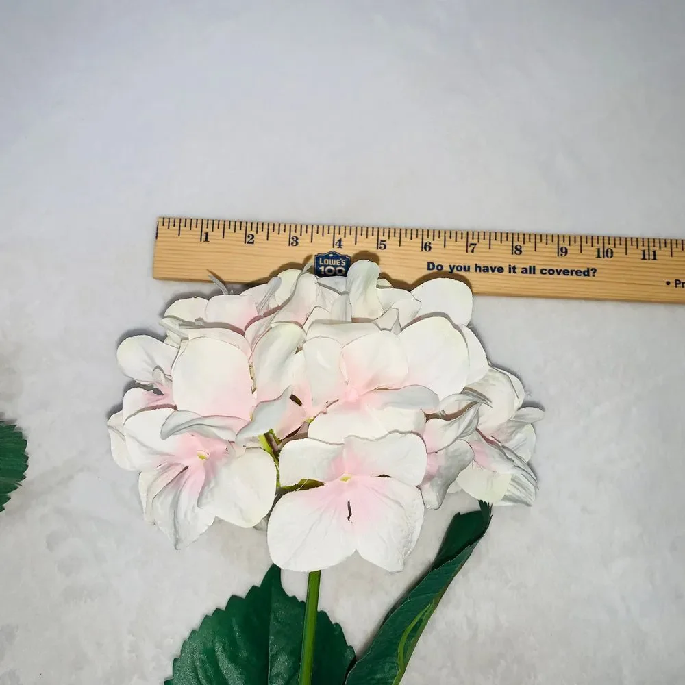N/A hydrangea three